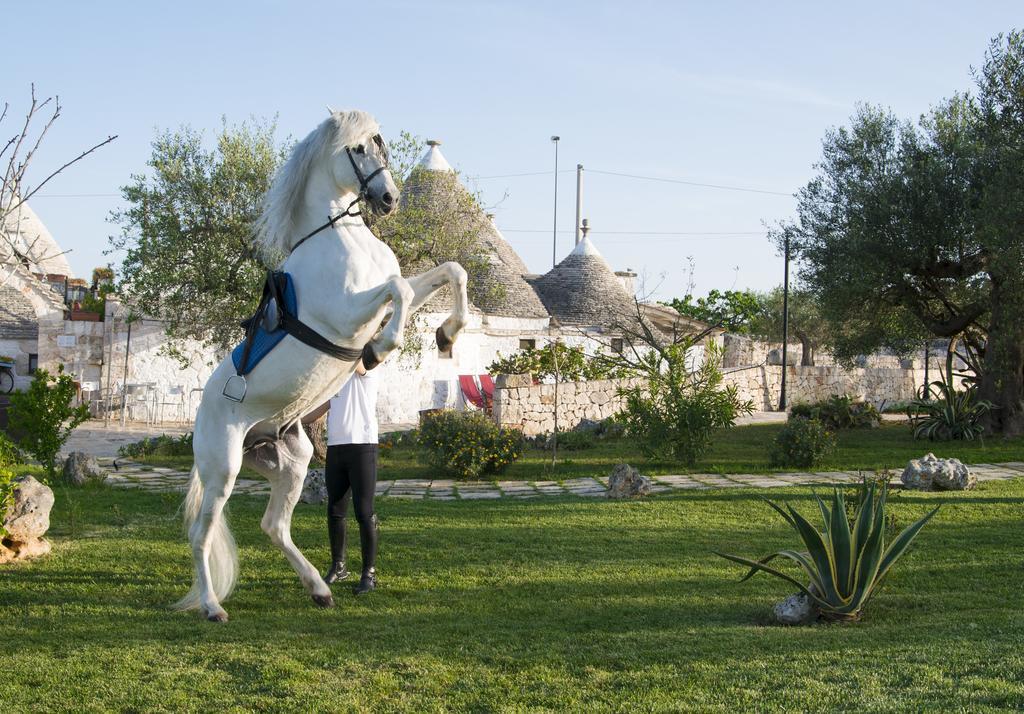 Il Gabellota Resort Alberobello Extérieur photo